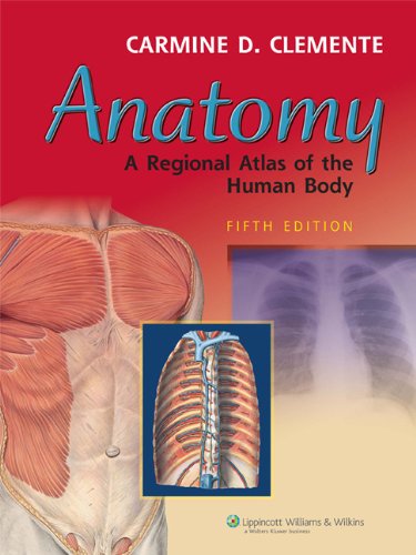 Libro Impreso-Clemente Anatomy A Regional Atlas of the Human Body